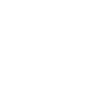 P3 Formula